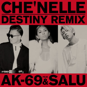 ดาวน์โหลดและฟังเพลง Destiny (Remix) พร้อมเนื้อเพลงจาก Che'Nelle