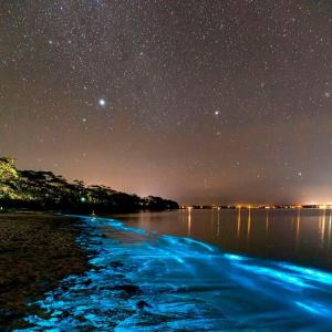Listen to seans and oceans song with lyrics from fl4shwell