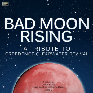 ดาวน์โหลดและฟังเพลง Have You Ever Seen the Rain พร้อมเนื้อเพลงจาก Ameritz Tribute Club