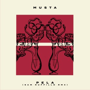 Listen to Pela (Sam Ruffillo Remix) song with lyrics from Musta