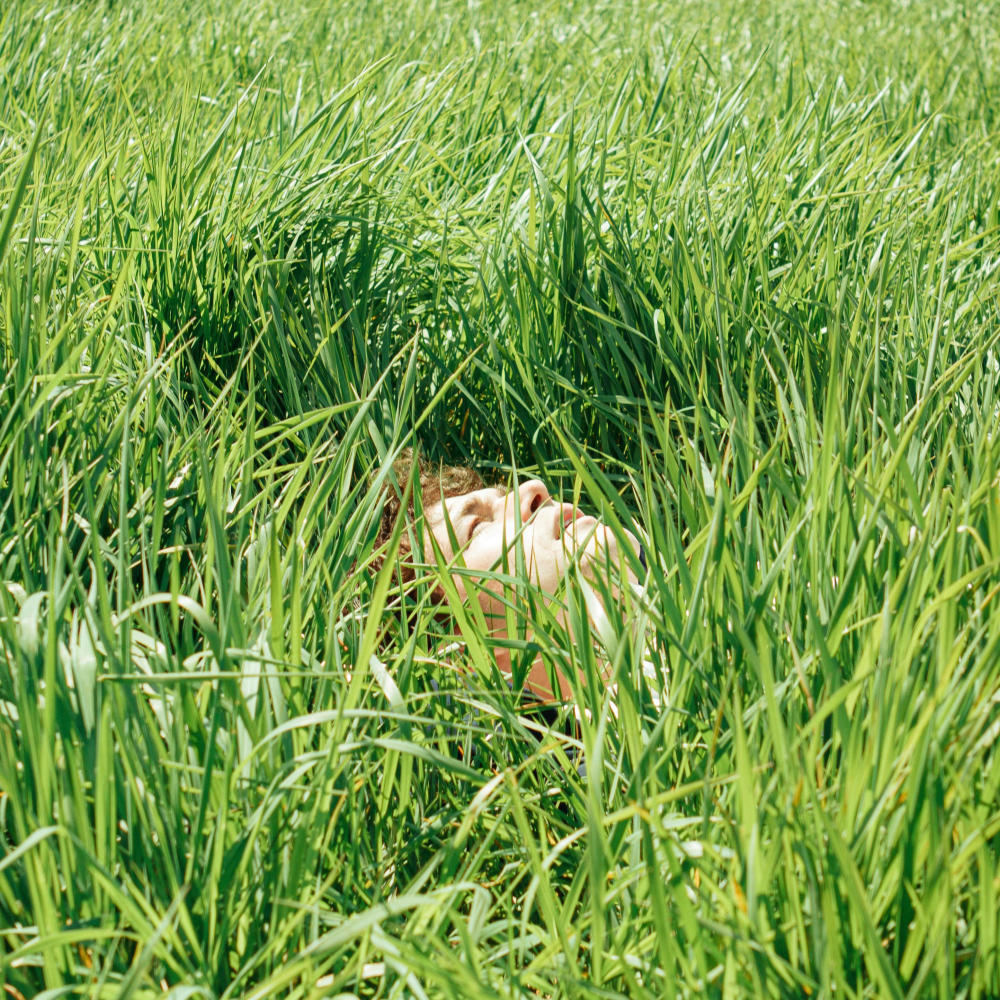 Photosynthesis