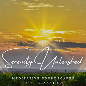 Album Serenity Unleashed: Meditative Soundscapes for Relaxation oleh Relaxing Orgel