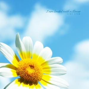Album I am loaded with flowers oleh Tiny Star