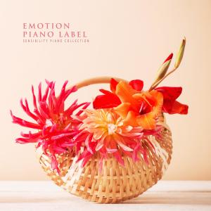 Various Artists的專輯Sensibility Piano Collection