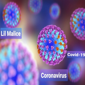 Album Coronavirus Covid-19 (Explicit) from Lil Malice