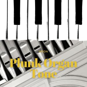 Noon的专辑Plunk Organ Tone