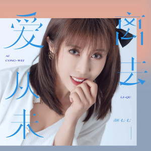 Album 爱从未离去 (DJ版) from 段玫梅