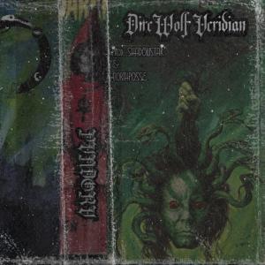 收聽Pvndorv的DireWolf Veridian 1999 (Explicit)歌詞歌曲