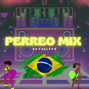 Album PERREO MIX Brasilero from 