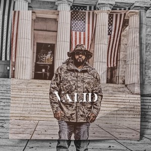 Listen to Valid (Remix) song with lyrics from Tracy Michael
