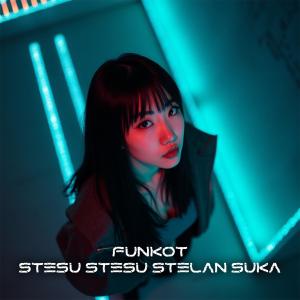 อัลบัม Funkot Stesu Stesu Stelan Suka ศิลปิน DJ FUNKOT