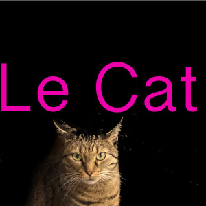 Dengarkan It's What You Love lagu dari LE CAT dengan lirik
