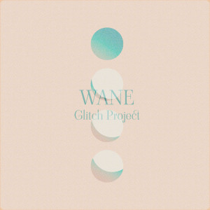 Album Wane from Glitch Project