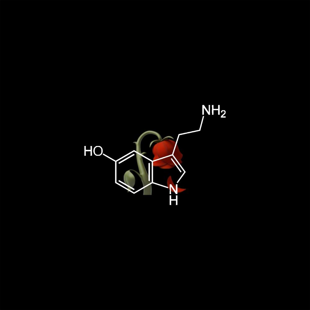 Serotonin Shawty (feat. calito) (Explicit)