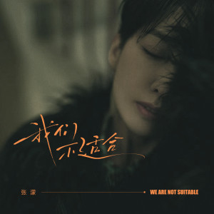 Listen to 我们不适合 song with lyrics from 张蒙