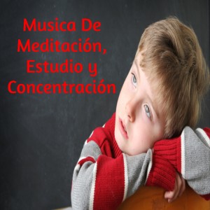Listen to Momentos De Relajación song with lyrics from Musica De Meditación
