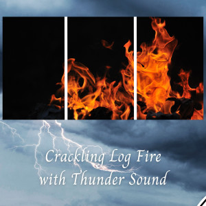 Crackling Log Fire with Thunder Sound