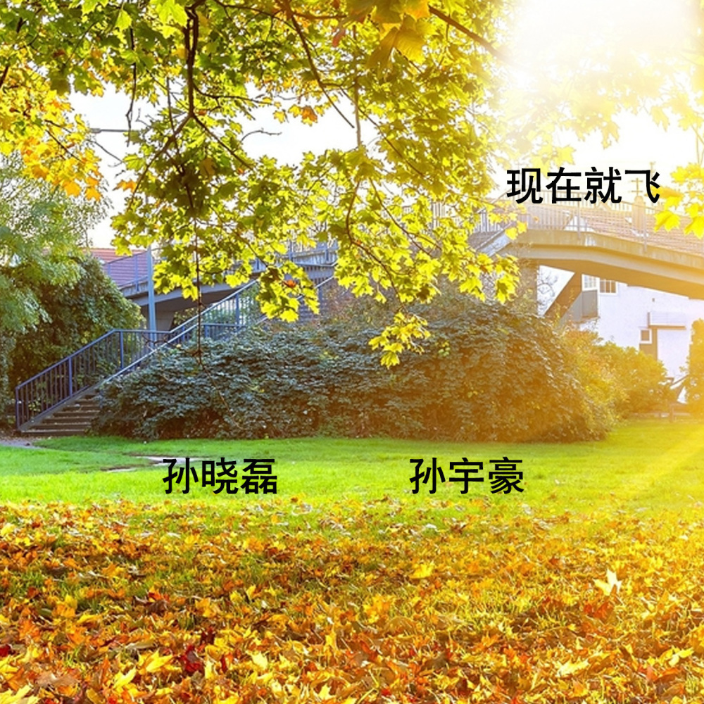 现在就飞