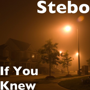 Listen to If You Knew (Explicit) song with lyrics from Stebo
