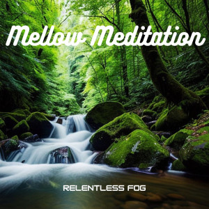 Relaxing Instrumental Jazz Academy的专辑Mellow Meditation