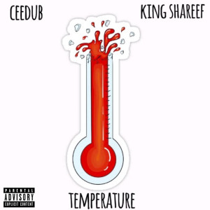 Album Temperature (Explicit) from 