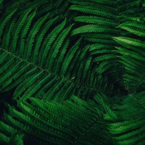 收听Relaxing Music的Resistance歌词歌曲