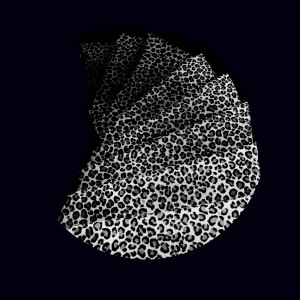 Album Butterfly from 