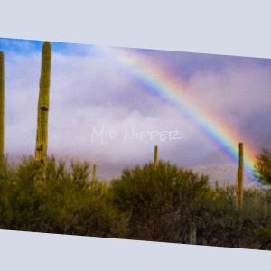 收听Janiel Hysa的Take Shoot歌词歌曲