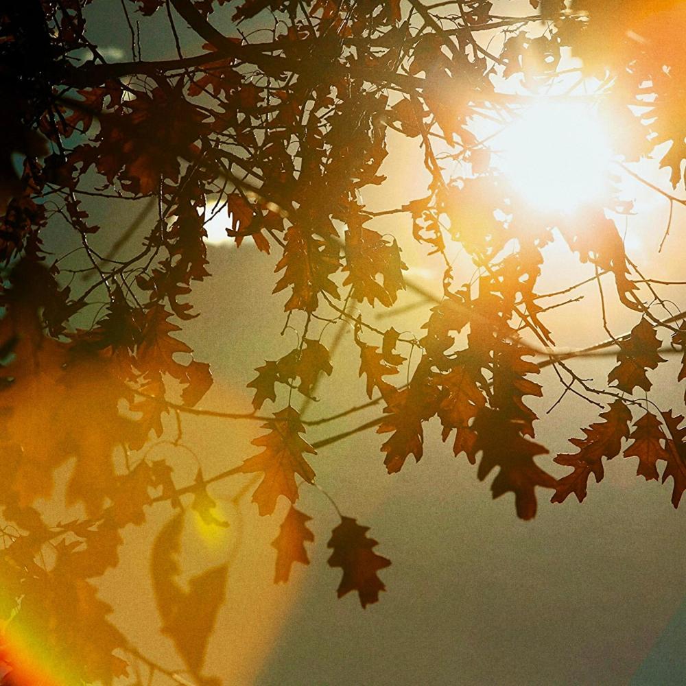 suns burnt out (Explicit)
