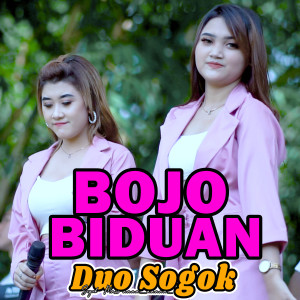 Dengarkan Bojo Biduan lagu dari Duo Sogok dengan lirik