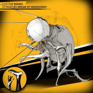 ดาวน์โหลดและฟังเพลง Beetle in the Bandoneon พร้อมเนื้อเพลงจาก Fine Cut Bodies