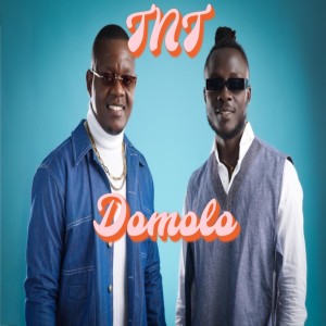 TNT Family的专辑Domolo