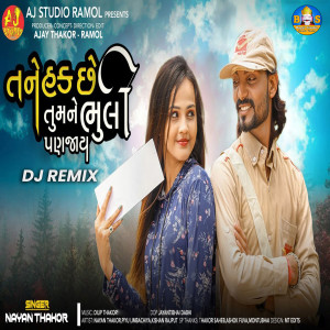 Listen to Tane Hak Che Tu Mane Bhuli Pan Jay (DJ Remix) song with lyrics from Nayan Thakor