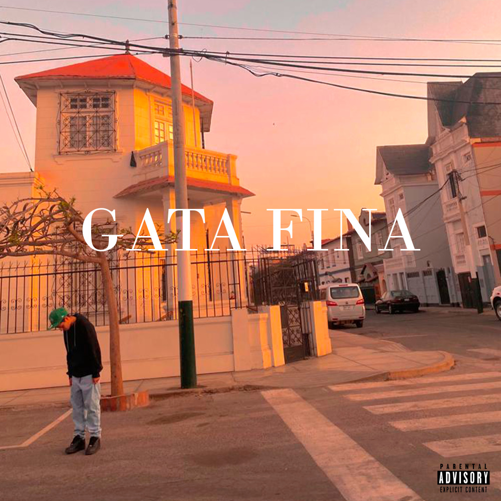 Gata fina (Explicit)