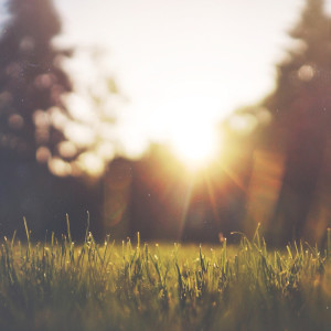 Listen to Unwind song with lyrics from Yoga Music