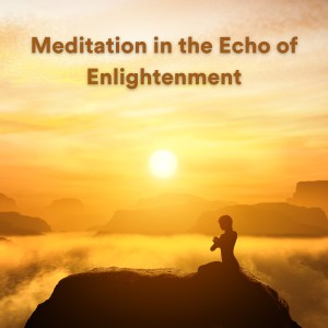 Album Meditation in the Echo of Enlightenment from Schlaflieder Relax
