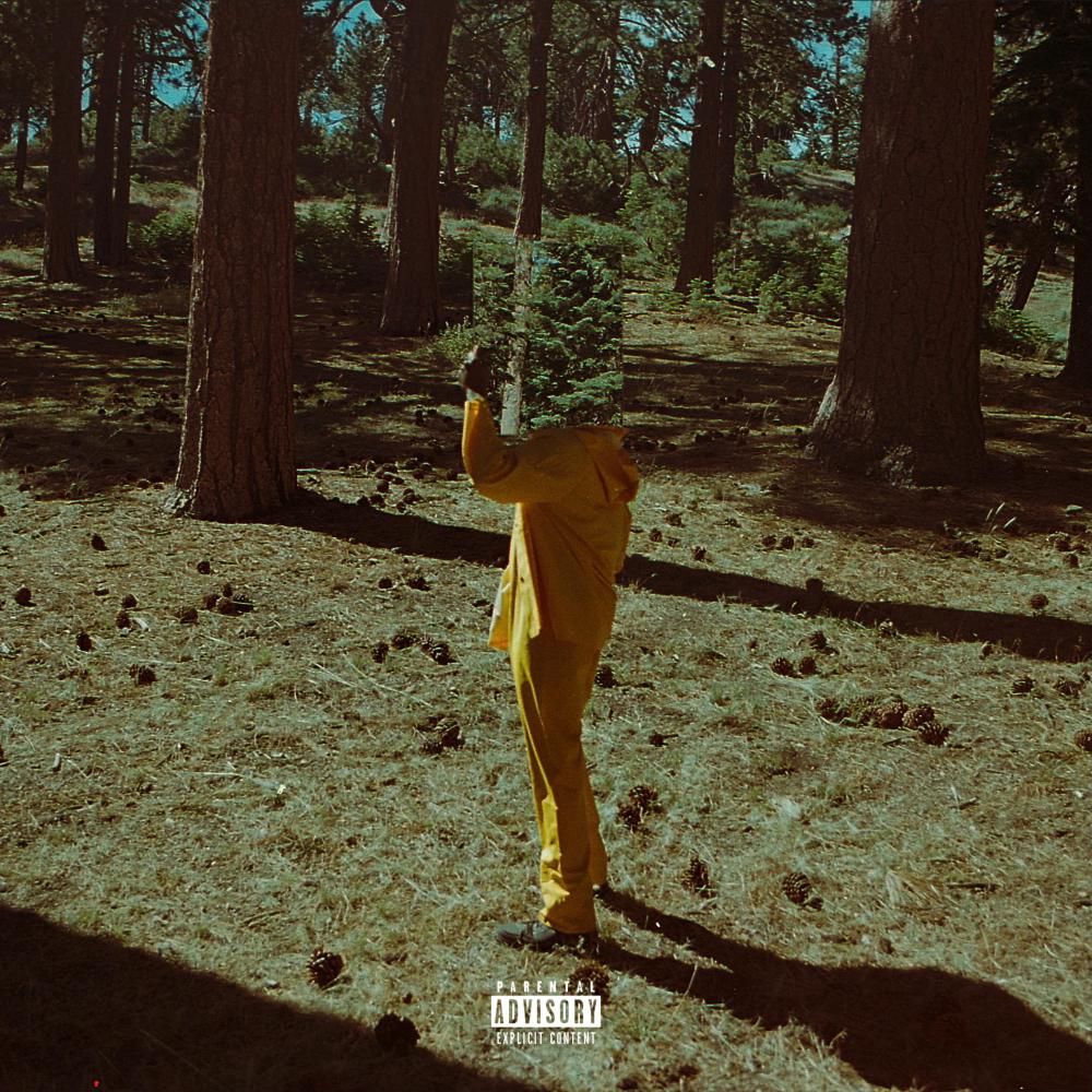ACCELERATION (Explicit)