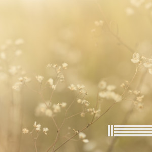 ดาวน์โหลดและฟังเพลง Slow Down พร้อมเนื้อเพลงจาก Relaxing Music For You