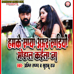 Album Hamke Saya Aur Sadiyo Mohal Kaila Na from Amit Sagar