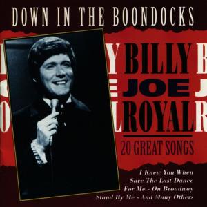 ดาวน์โหลดและฟังเพลง Raindrops Keep Fallin' On My Head พร้อมเนื้อเพลงจาก Billy Joe Royal