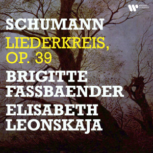Elisabeth Leonskaja的專輯Schumann: Liederkreis, Op. 39