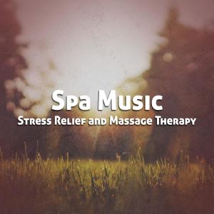 ดาวน์โหลดและฟังเพลง Spa Music for Deep Sleep พร้อมเนื้อเพลงจาก Spa, Relaxation and Dreams
