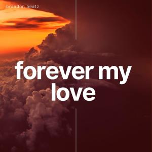 收聽brandon beat的forever my love (feat. Versatil)歌詞歌曲