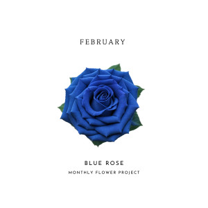 อัลบัม Blue Rose ศิลปิน PERC%NT