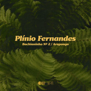 Plinio Fernandes的專輯Bachianinha No. 2 / Araponga (Arr. for Guitar by Sérgio Assad)