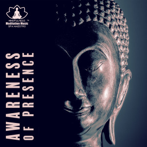 Dengarkan Ethereal Space lagu dari Mindfulness Meditation Music Spa Maestro dengan lirik