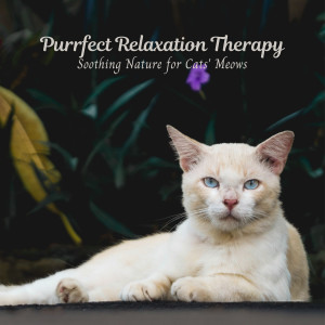 Sleepy Cats的专辑Purrfect Relaxation Therapy: Soothing Nature for Cats' Meows