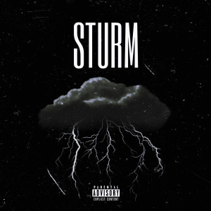 Payne的专辑Sturm (Explicit)
