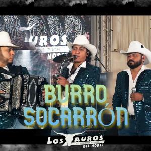 ดาวน์โหลดและฟังเพลง Burro Socarrón พร้อมเนื้อเพลงจาก Los Tauros del Norte