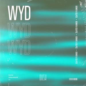 Listen to WYD song with lyrics from Bonkr